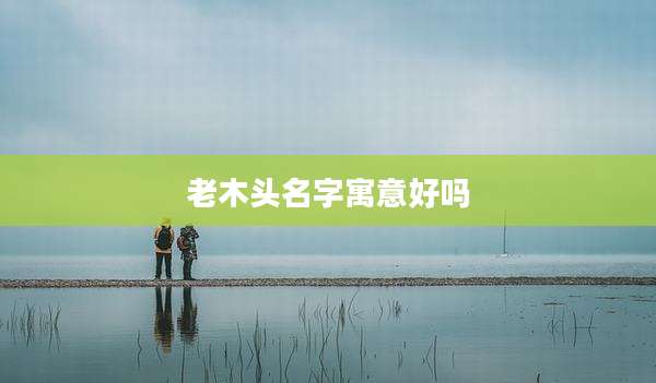 老木头名字寓意好吗
