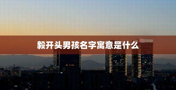 毅开头男孩名字寓意是什么