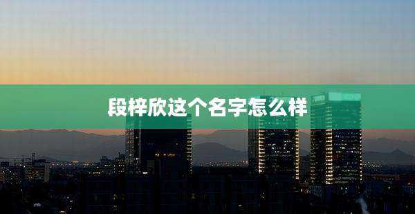 段梓欣这个名字怎么样