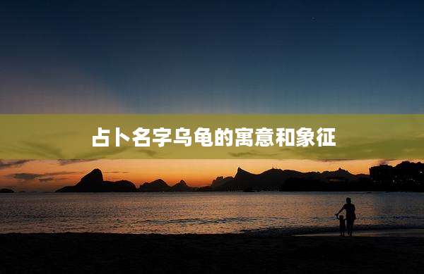 占卜名字乌龟的寓意和象征