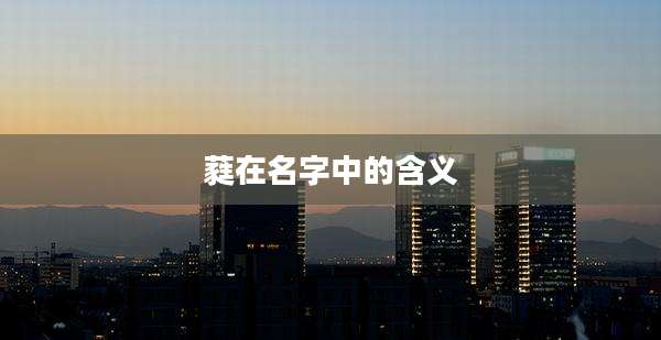 蕤在名字中的含义