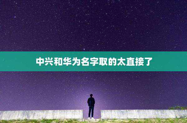 中兴和华为名字取的太直接了