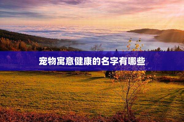 宠物寓意健康的名字有哪些