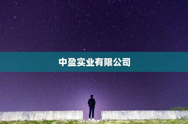 中盈实业有限公司