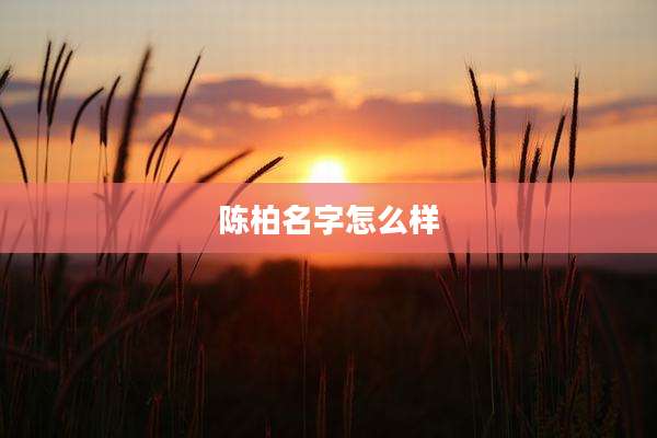 陈柏名字怎么样