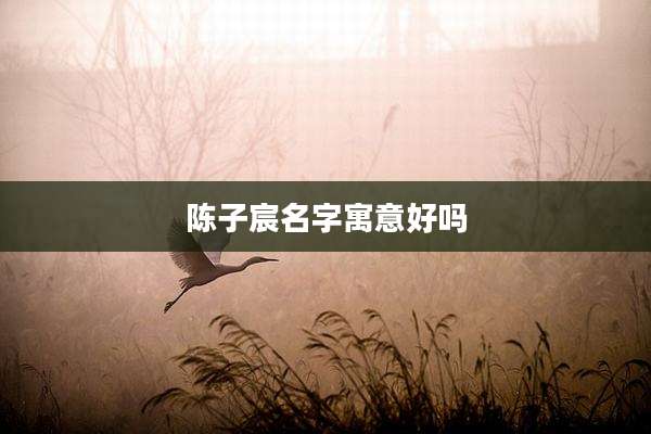陈子宸名字寓意好吗