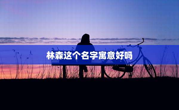 林森这个名字寓意好吗