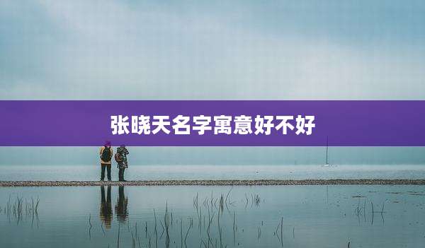 张晓天名字寓意好不好