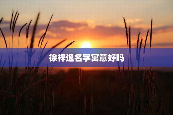 徐梓逸名字寓意好吗