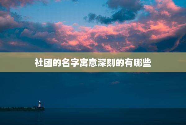 社团的名字寓意深刻的有哪些