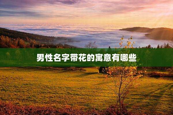 男性名字带花的寓意有哪些