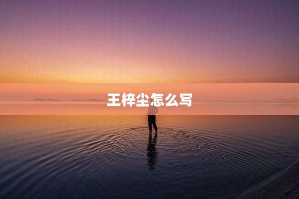 王梓尘怎么写
