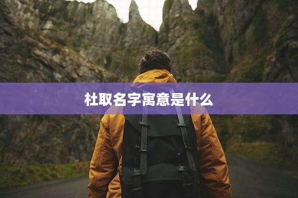 杜取名字寓意是什么