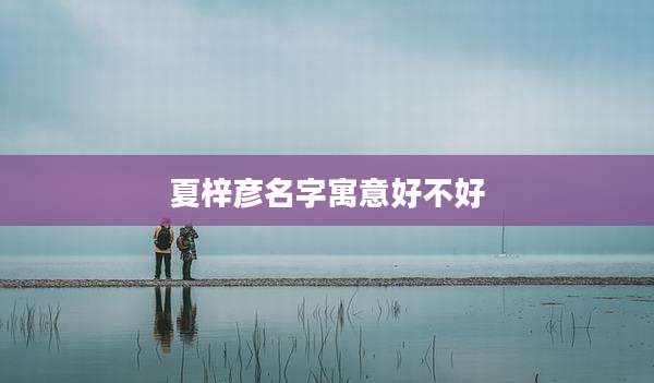 夏梓彦名字寓意好不好