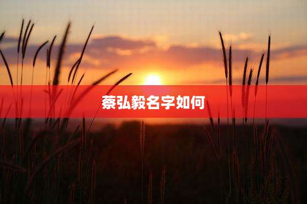 蔡弘毅名字如何