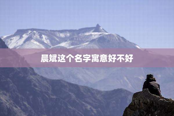 晨斌这个名字寓意好不好