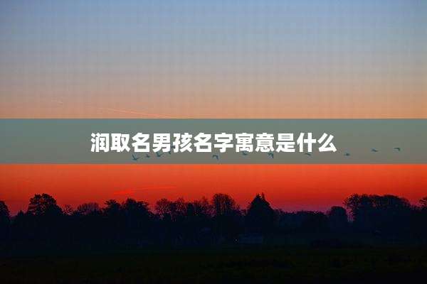润取名男孩名字寓意是什么