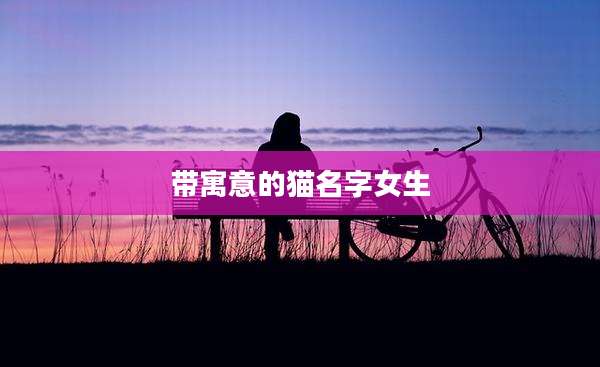带寓意的猫名字女生