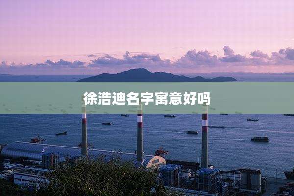 徐浩迪名字寓意好吗