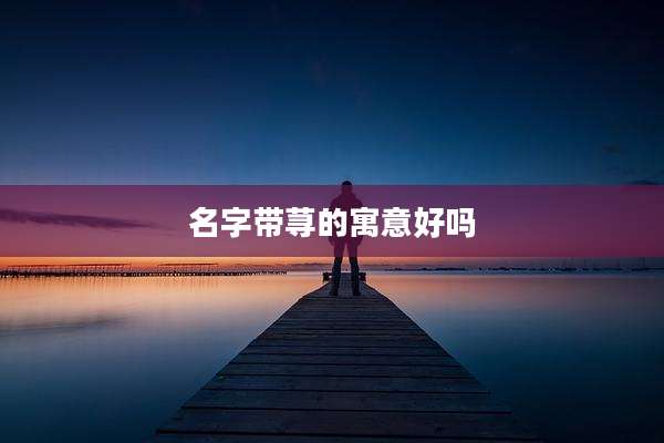 名字带荨的寓意好吗