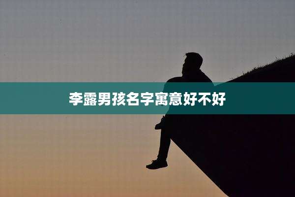 李露男孩名字寓意好不好