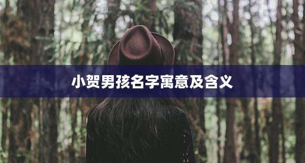 小贺男孩名字寓意及含义