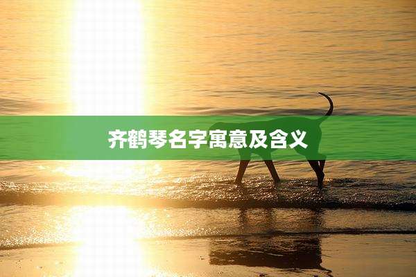 齐鹤琴名字寓意及含义