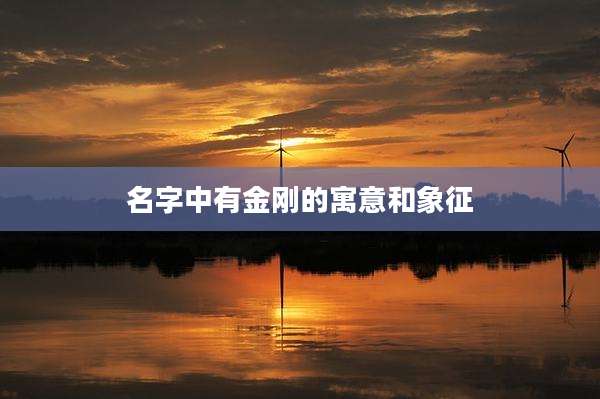 名字中有金刚的寓意和象征