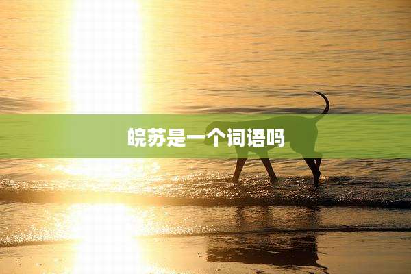 皖苏是一个词语吗