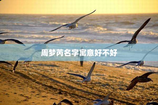 周梦芮名字寓意好不好