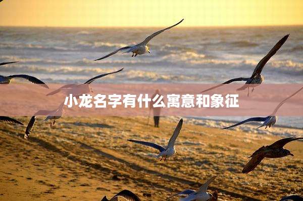 小龙名字有什么寓意和象征