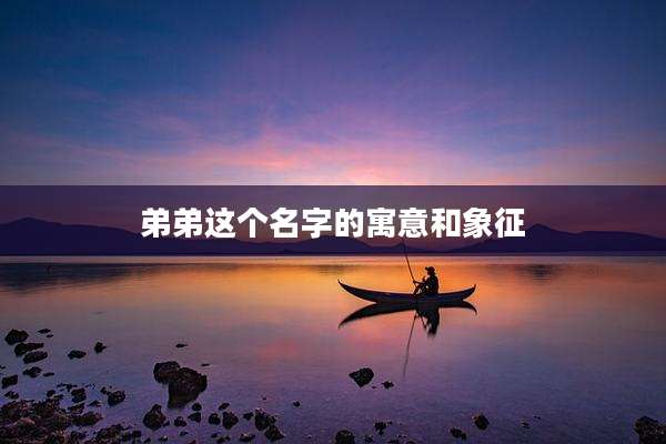 弟弟这个名字的寓意和象征