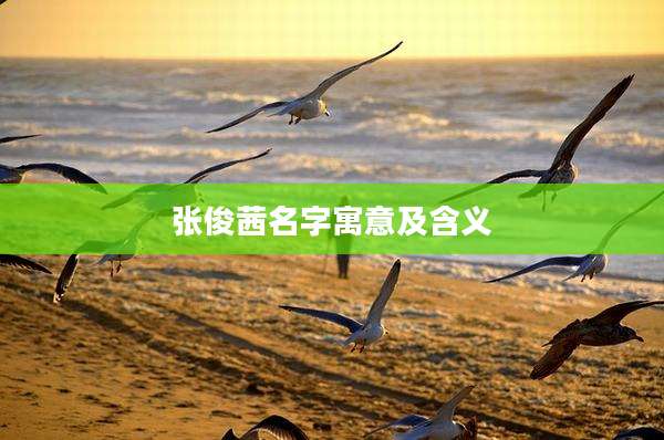 张俊茜名字寓意及含义