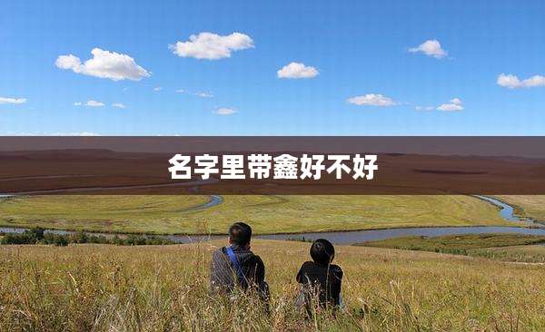 名字里带鑫好不好