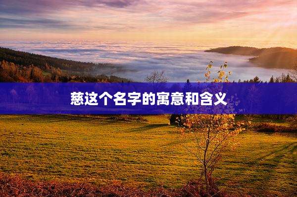 慈这个名字的寓意和含义