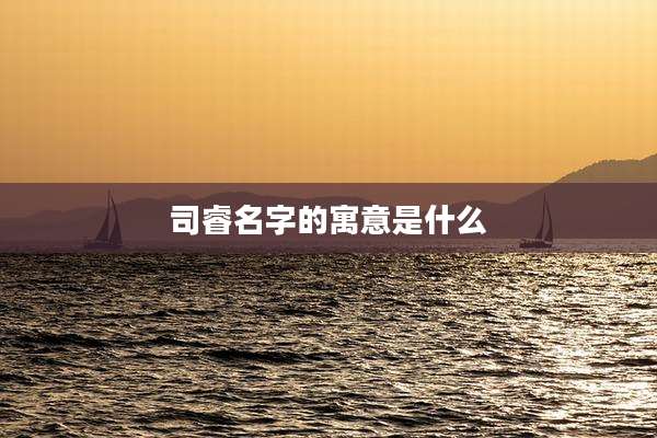 司睿名字的寓意是什么