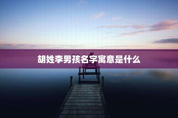 胡姓李男孩名字寓意是什么