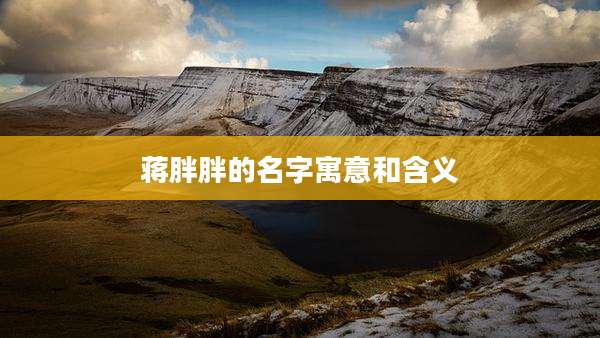 蒋胖胖的名字寓意和含义