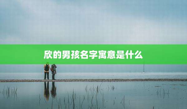 欣的男孩名字寓意是什么