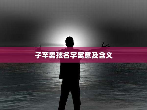 子芊男孩名字寓意及含义