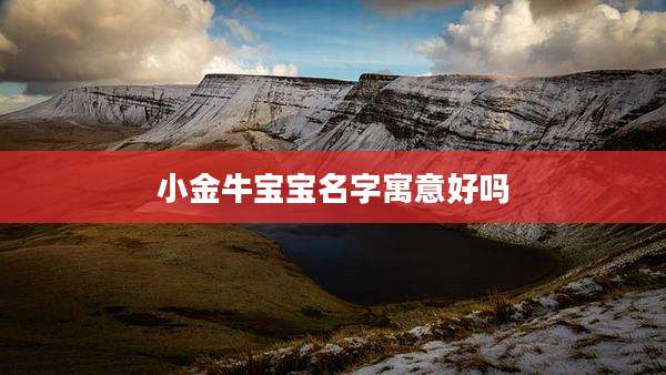 小金牛宝宝名字寓意好吗
