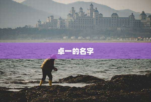 卓一的名字