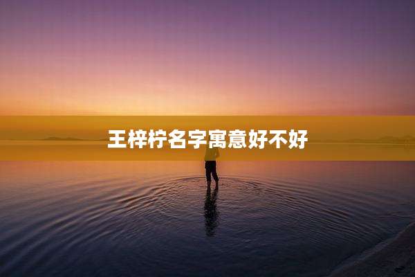 王梓柠名字寓意好不好