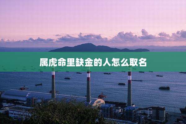 属虎命里缺金的人怎么取名