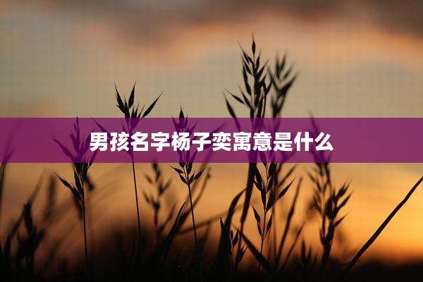 男孩名字杨子奕寓意是什么