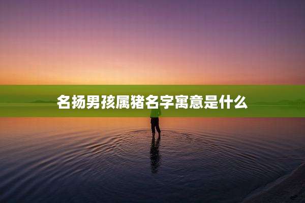 名扬男孩属猪名字寓意是什么