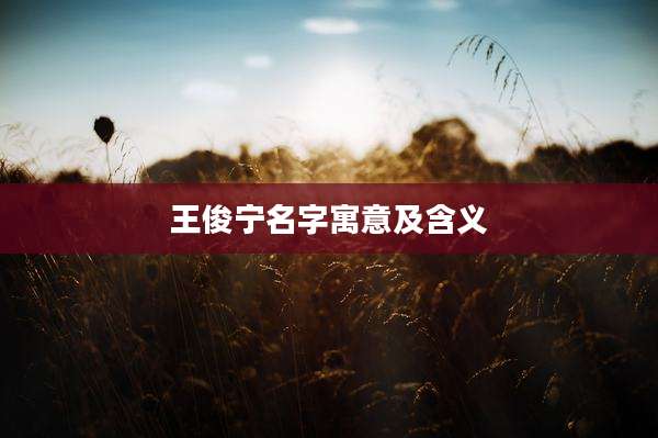 王俊宁名字寓意及含义
