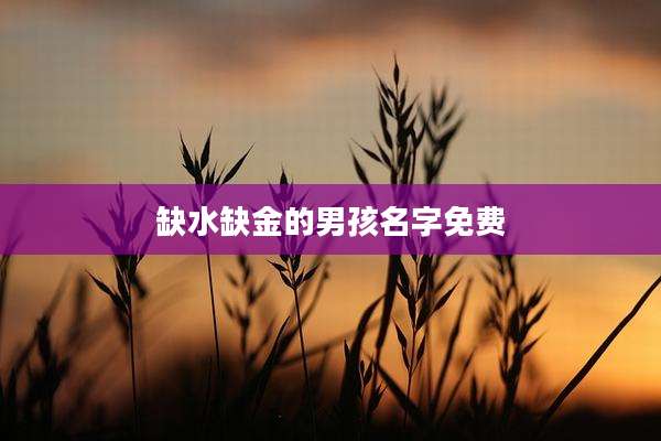 缺水缺金的男孩名字免费