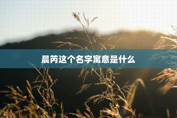 晨芮这个名字寓意是什么