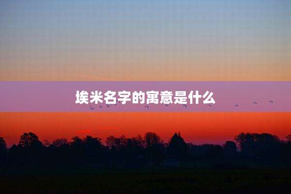 埃米名字的寓意是什么